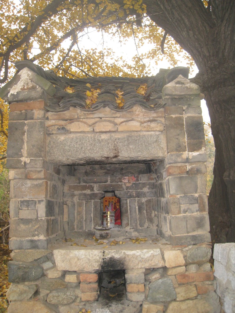 conew_img_4468.jpg