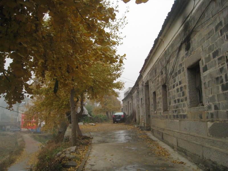 conew_img_4482.jpg
