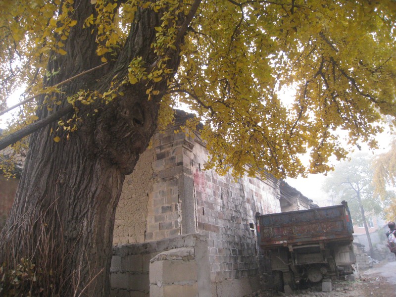 conew_img_4488.jpg