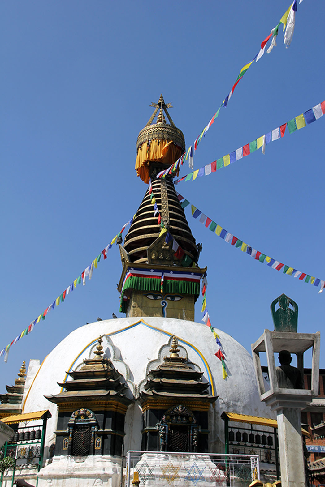 img_5637.jpg