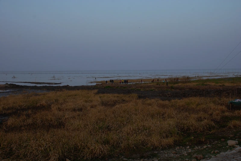 dsc_0633.jpg