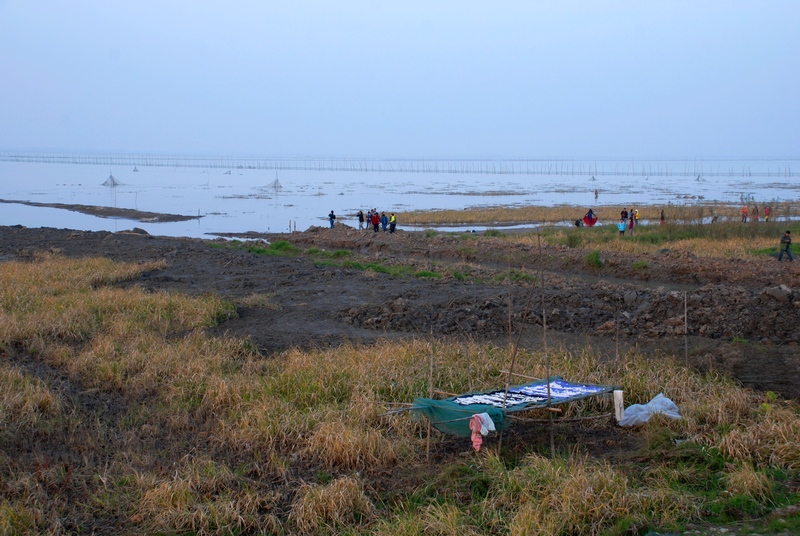 dsc_0651.jpg