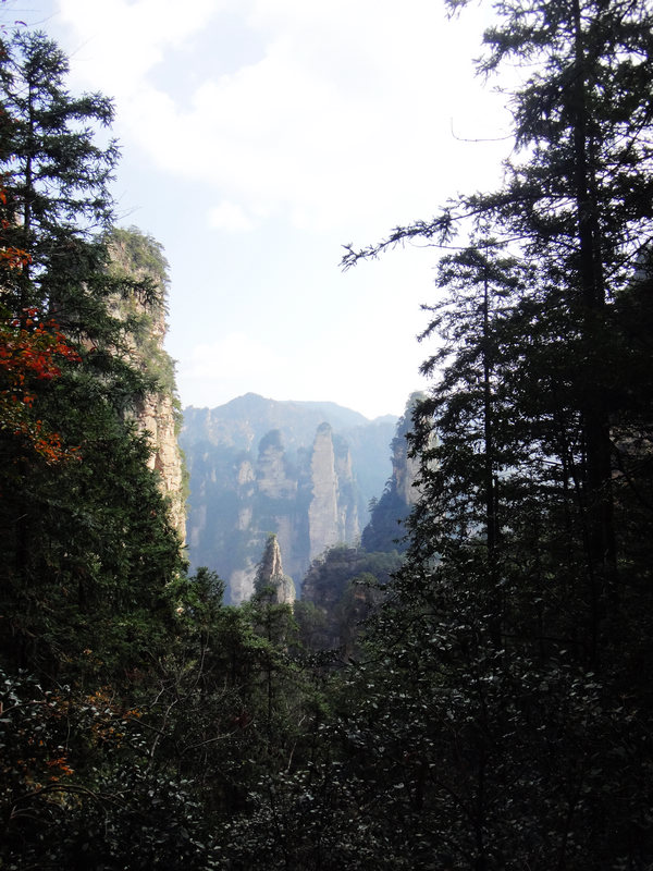 dsc04421.jpg