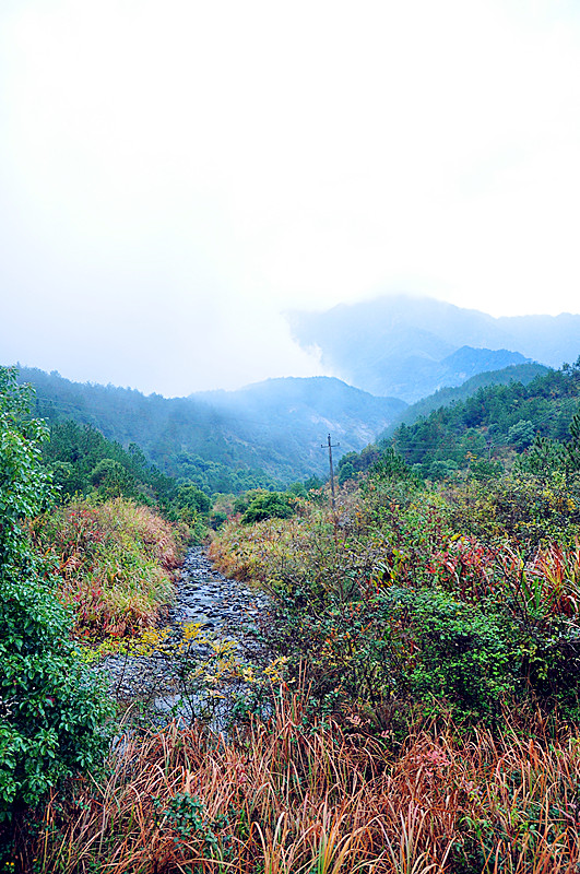 lvshan 135_.jpg