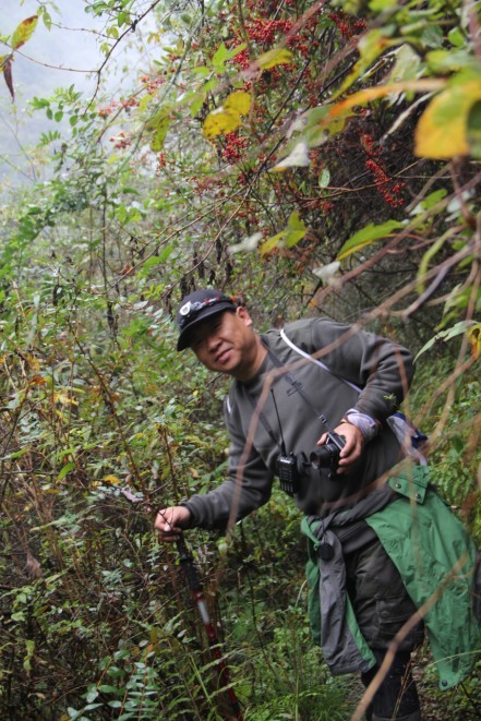 qqͼƬ20131125151106 - .jpg
