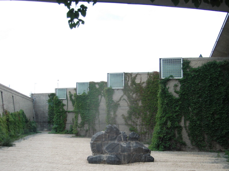 dscf0417.jpg
