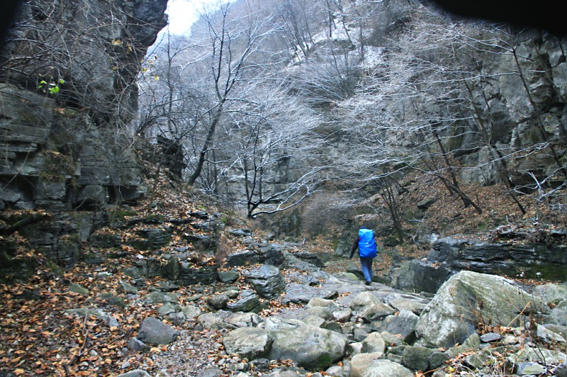 img_7435.jpg
