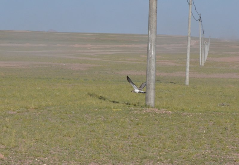 dsc_1999.jpg