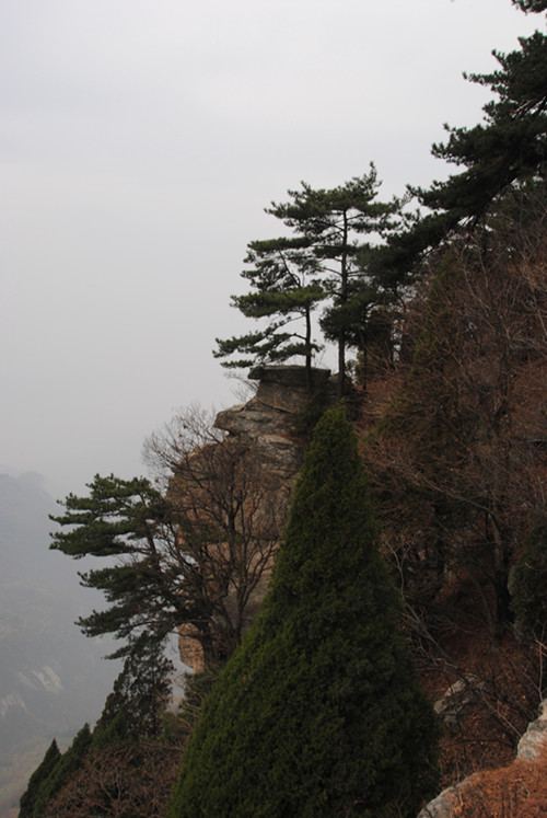 dsc_0036__.jpg