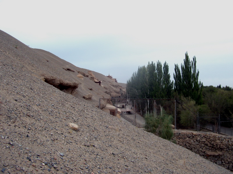 dscf0463.jpg