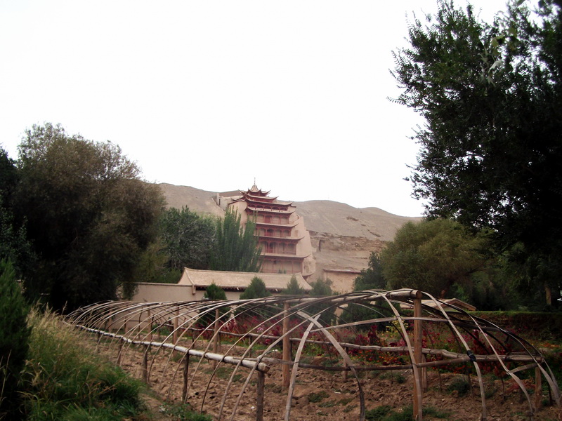 dscf0467.jpg