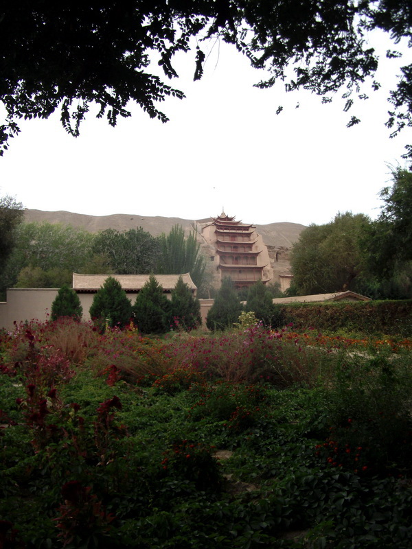 dscf0474.jpg
