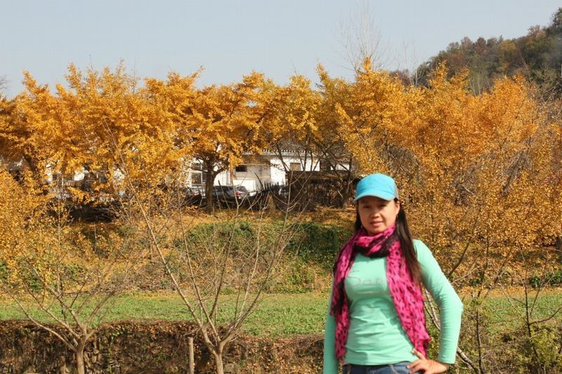qqͼƬ20131127124310.jpg