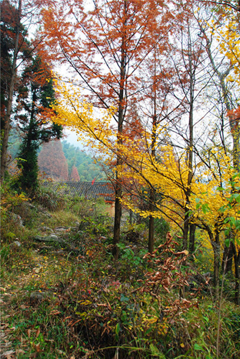 dsc_0280____.jpg
