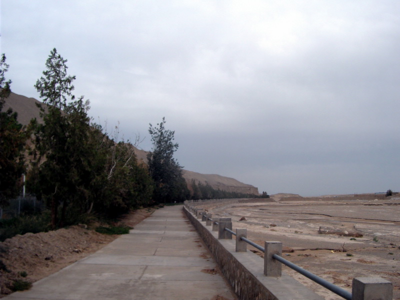 dscf0487.jpg