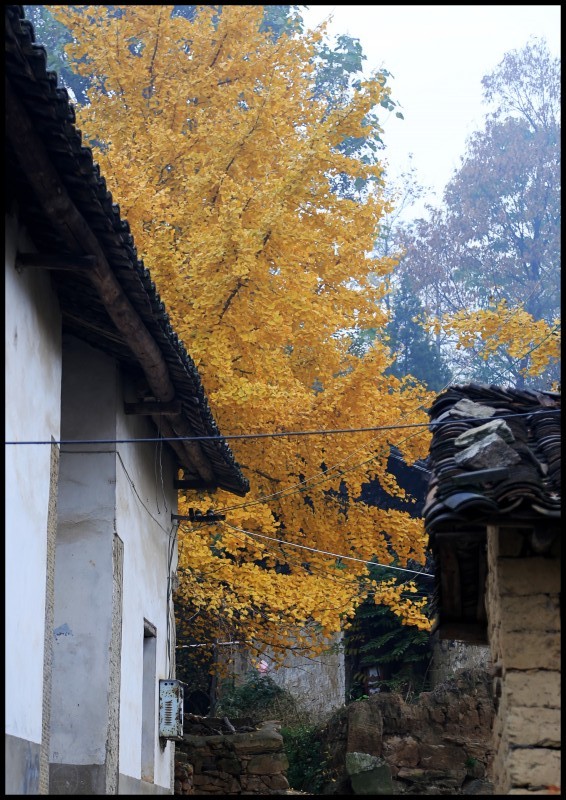 conew_ڷ 187_conew1.jpg