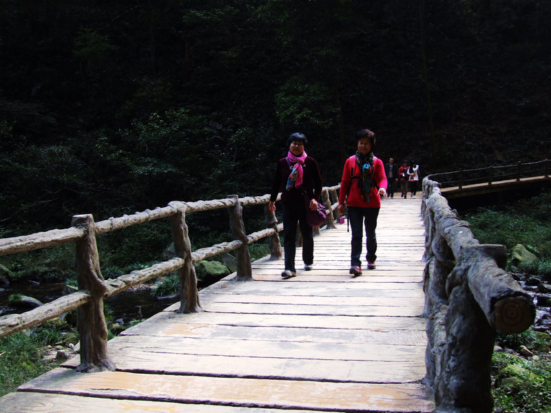 dscf8647.jpg