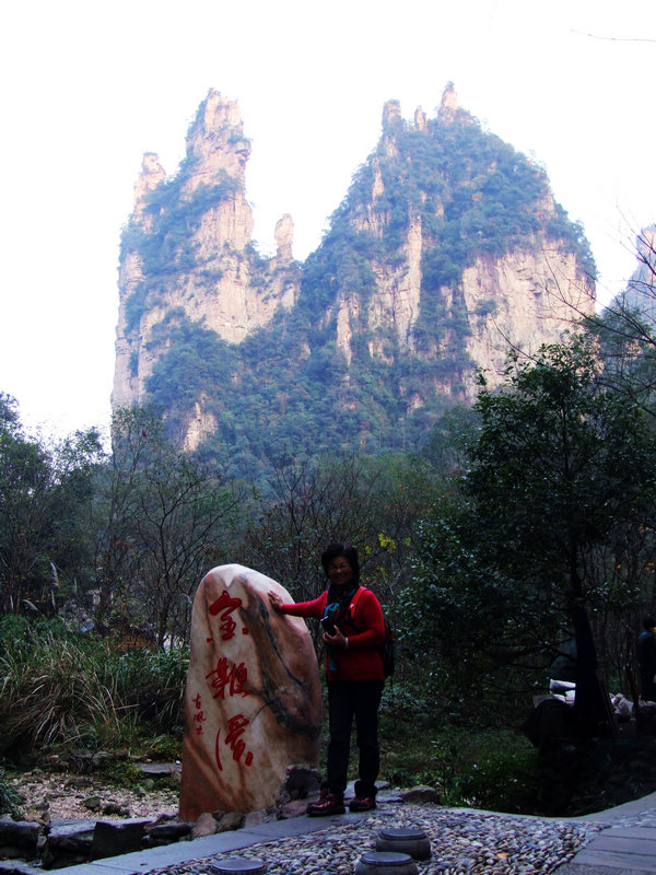 dscf8661.jpg