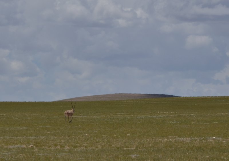 dsc_2108.jpg