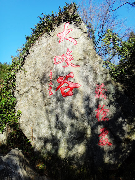 dsc04724.jpg