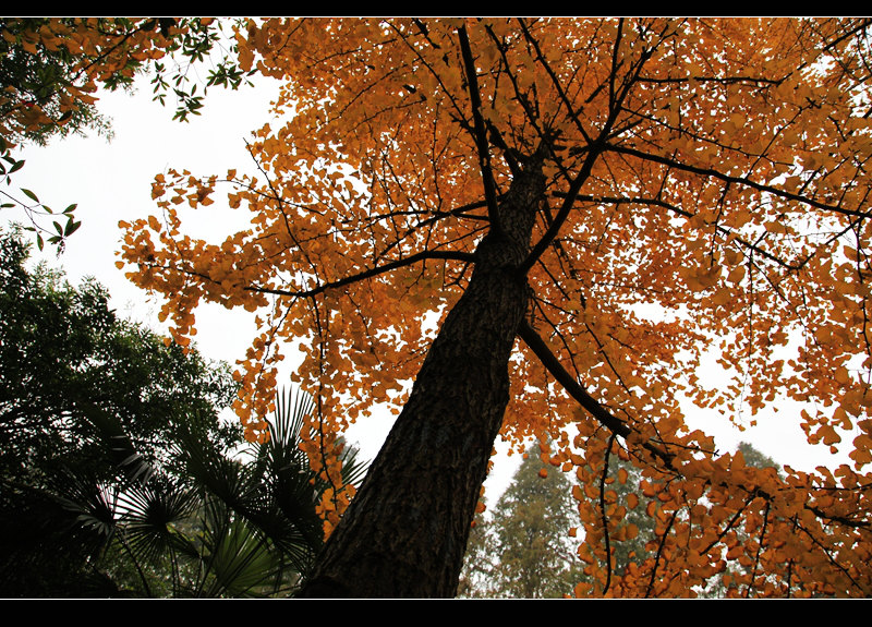 _mg_7716.jpg