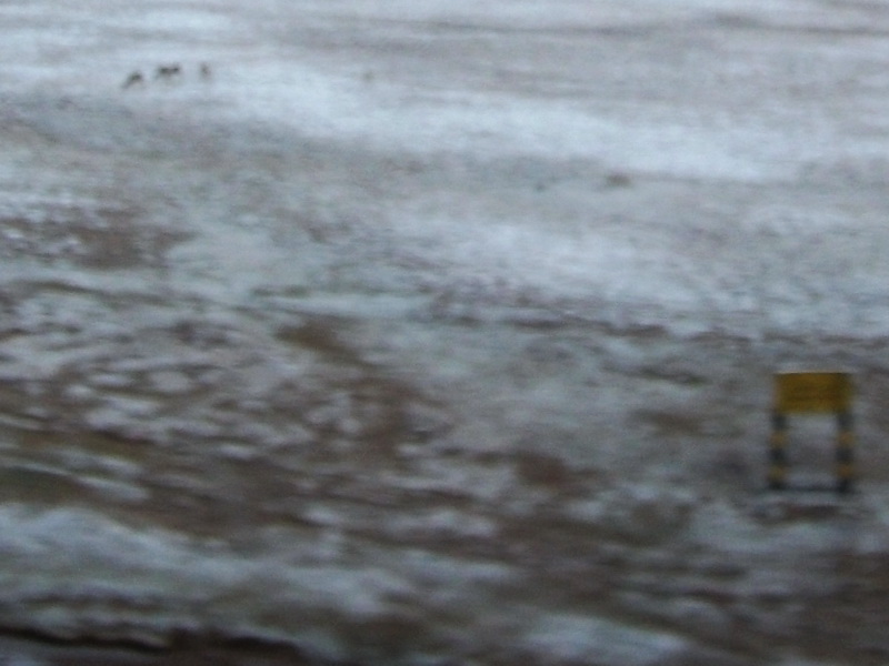 dscf0579.jpg