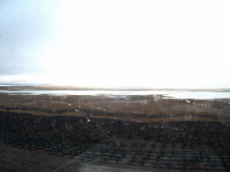 dscf0582.jpg