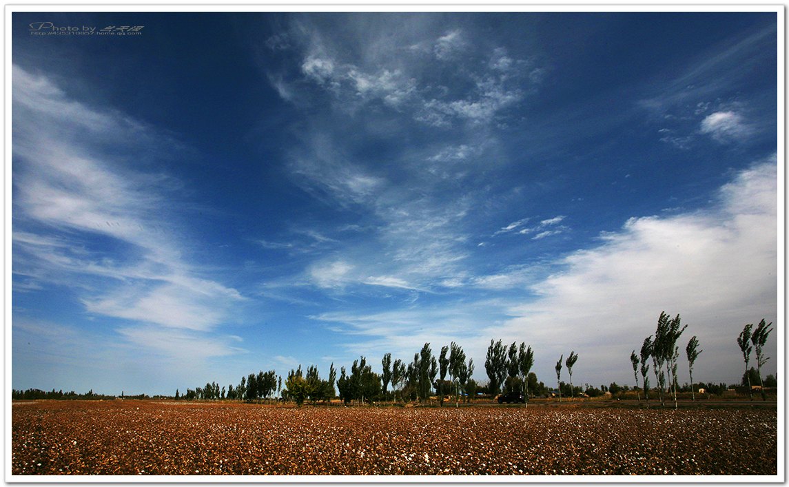img_8719,,.jpg