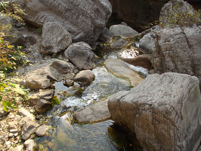 dscf5146_2.jpg