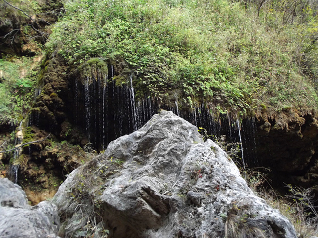 dscf5150_2.jpg
