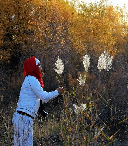 img_0598_СС.jpg
