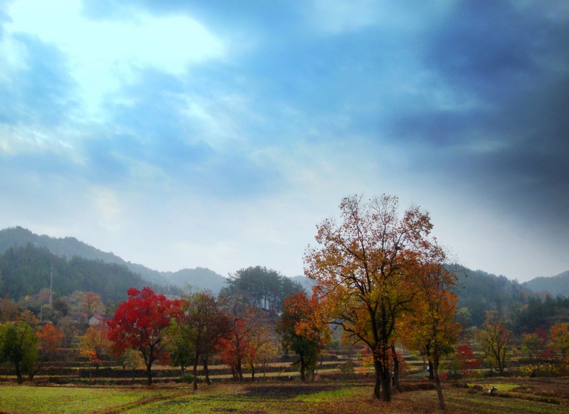 dsc01843a.jpg