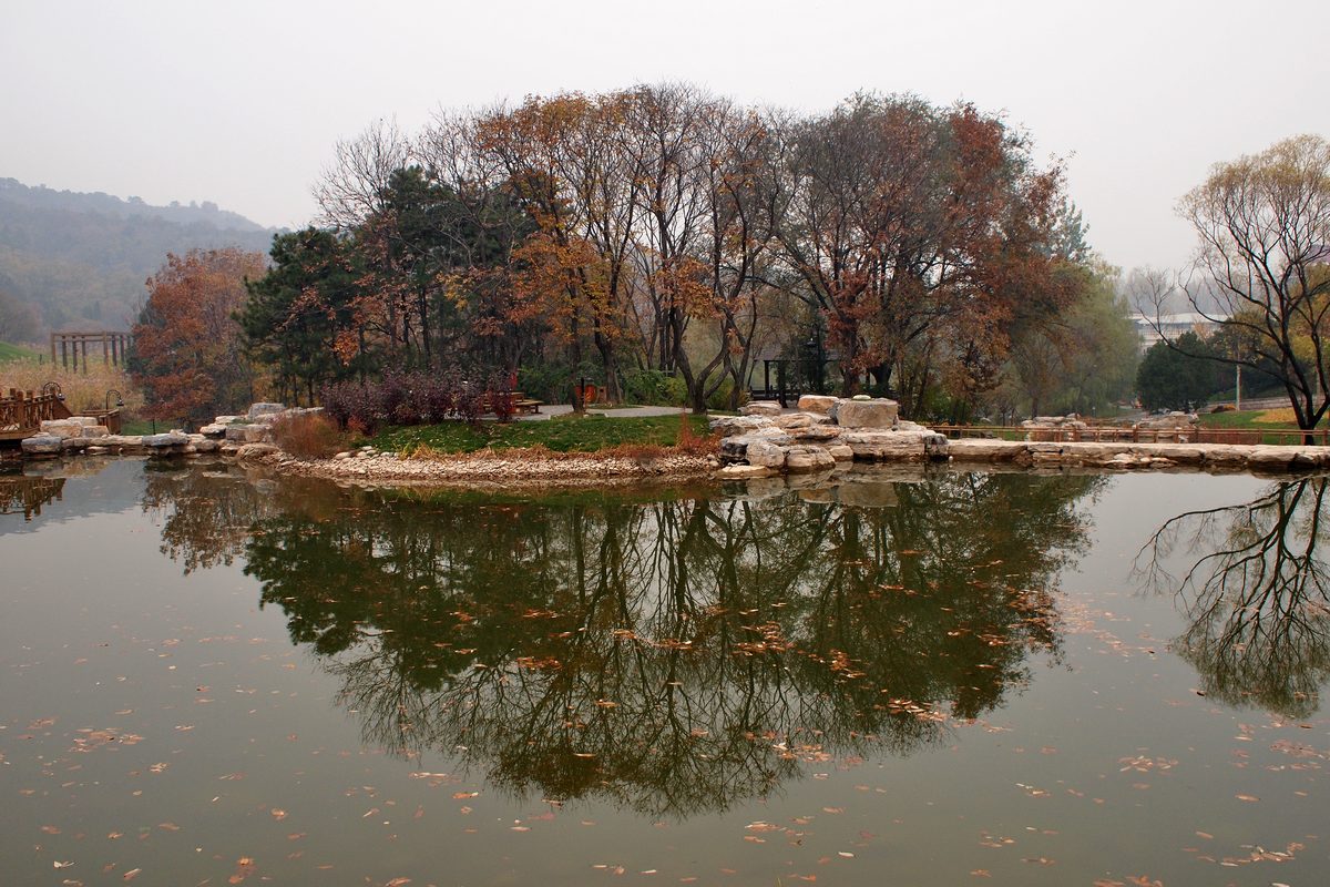 k1037177.jpg