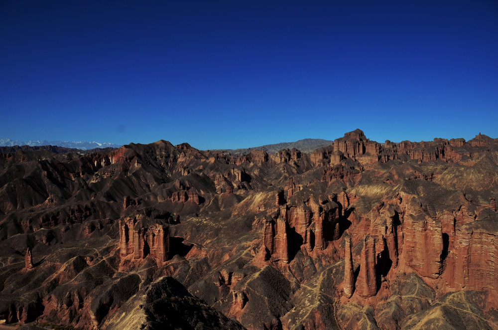 dsc_0438.jpg