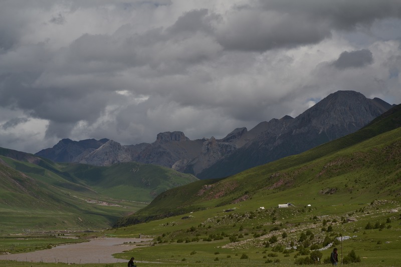 dsc_8682.jpg