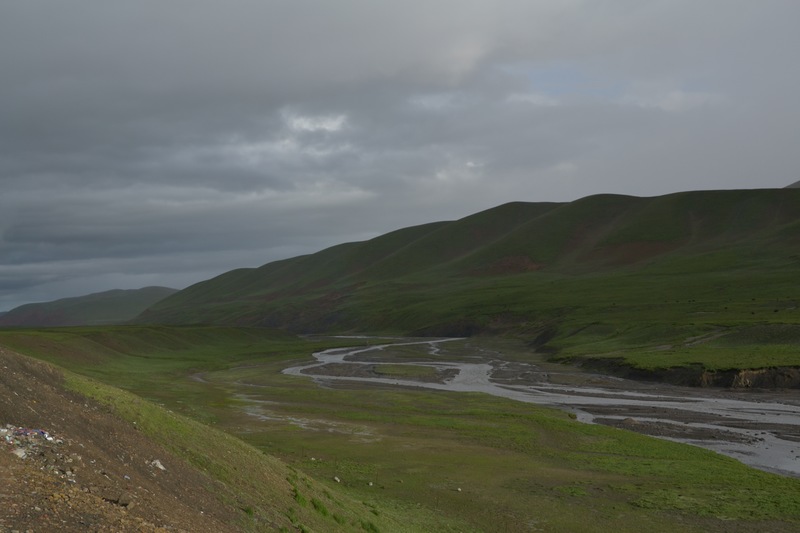 dsc_8684.jpg