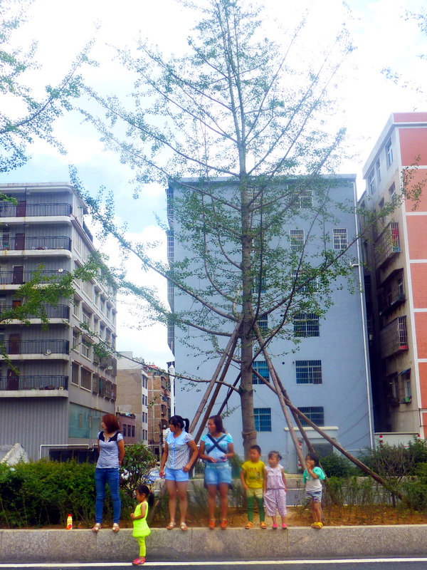 p1110343.jpg