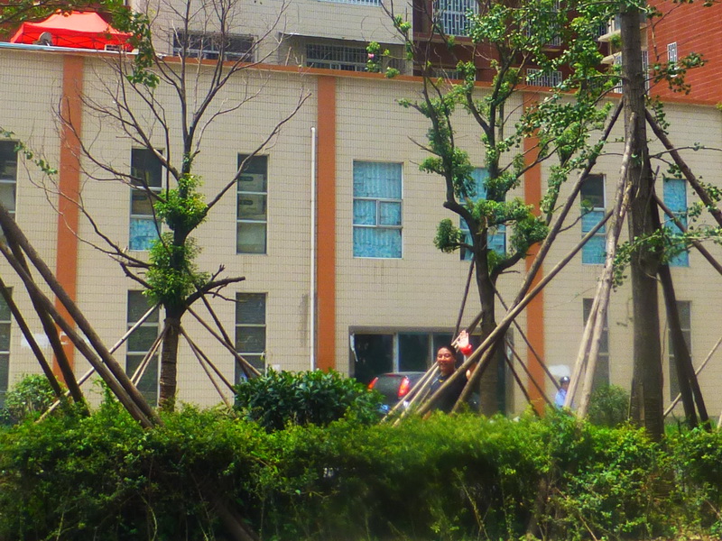 p1110367.jpg