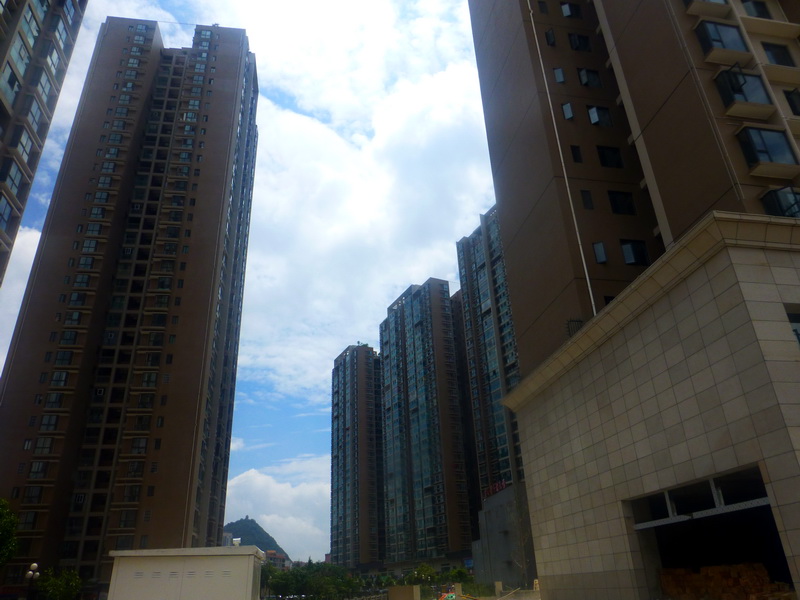 p1110369.jpg