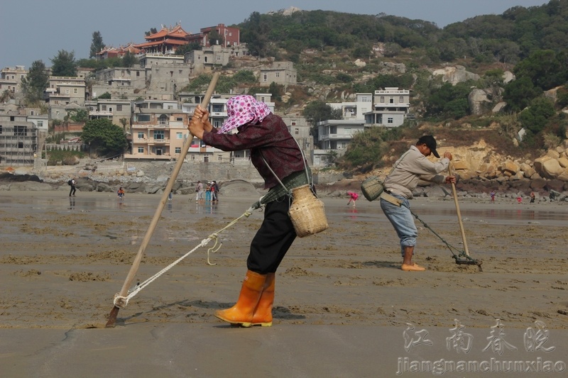neo_img_img_0876.jpg