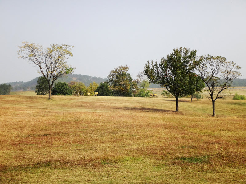 dsc04051.jpg
