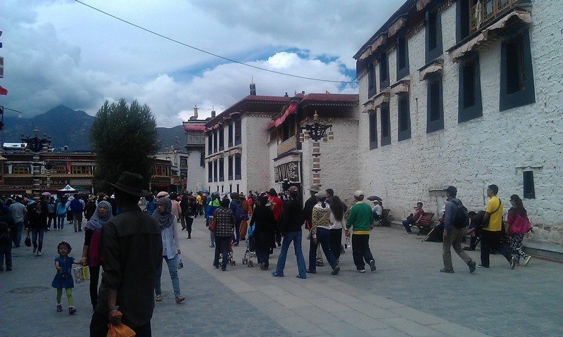 imag0843.jpg