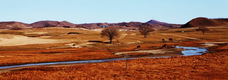 img_4939.jpg