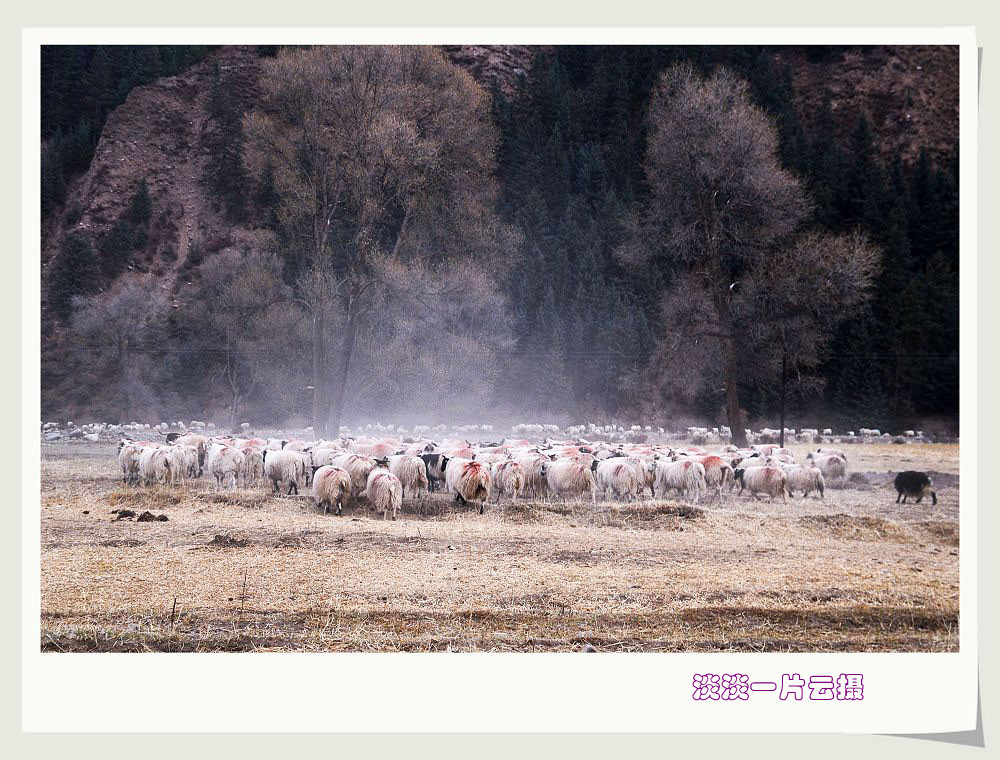 neo_img_dsc_6043_.jpg