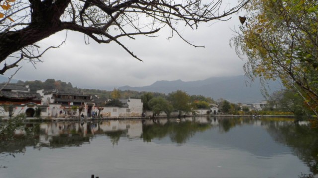 sam_0565 .jpg