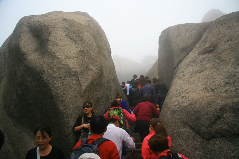 293.jpg