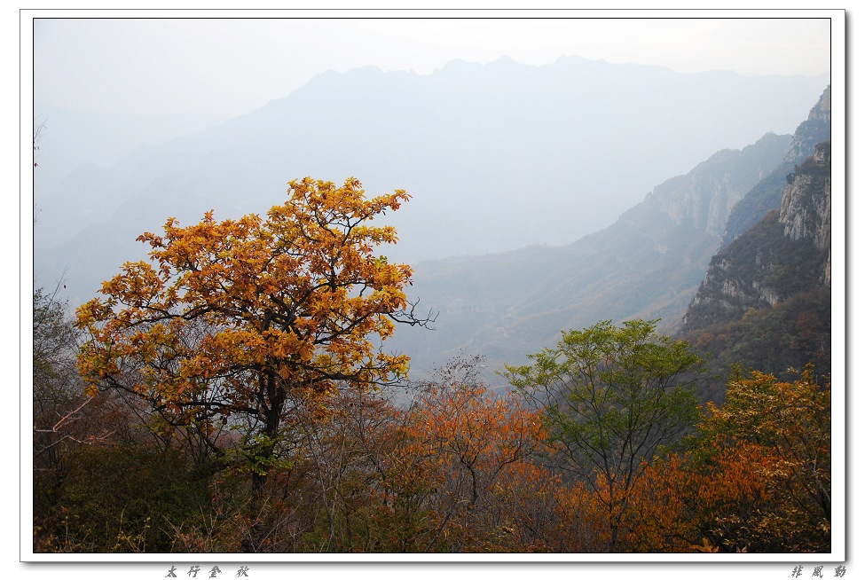 dsc_8815_neo_img.jpg