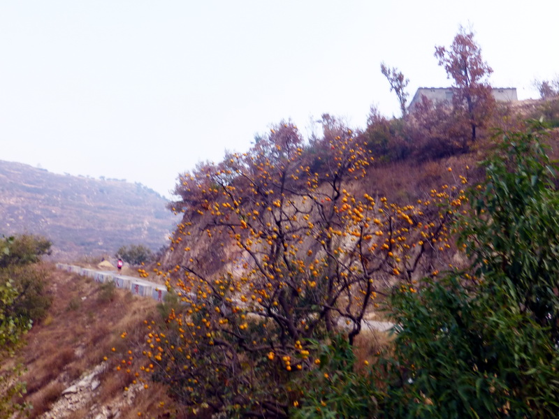 p1130554.jpg