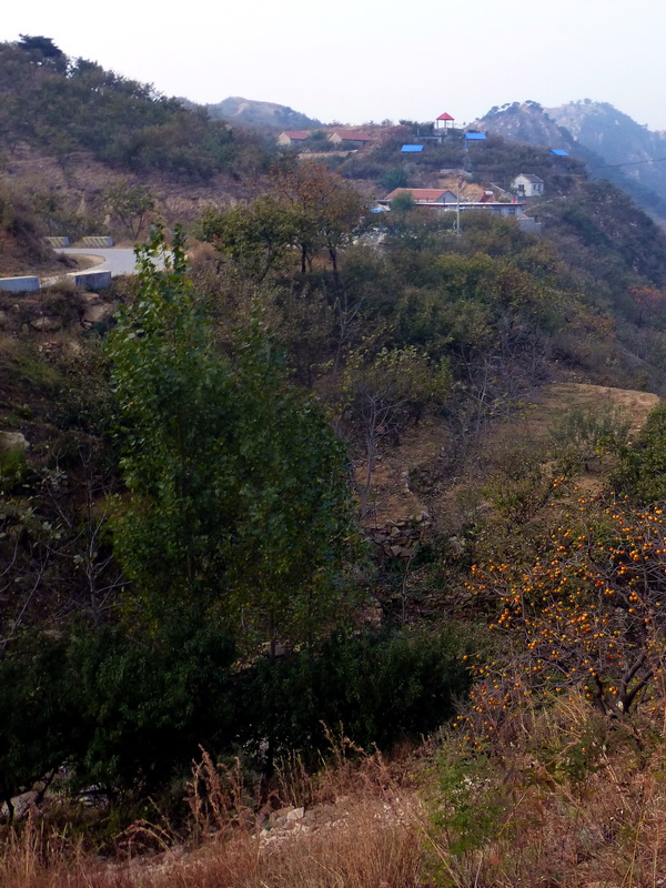 p1130555.jpg