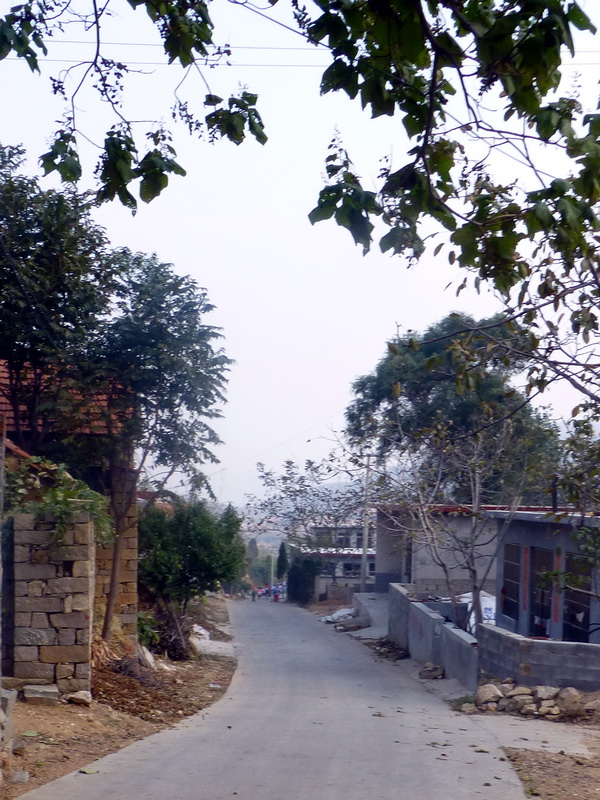 p1130563.jpg